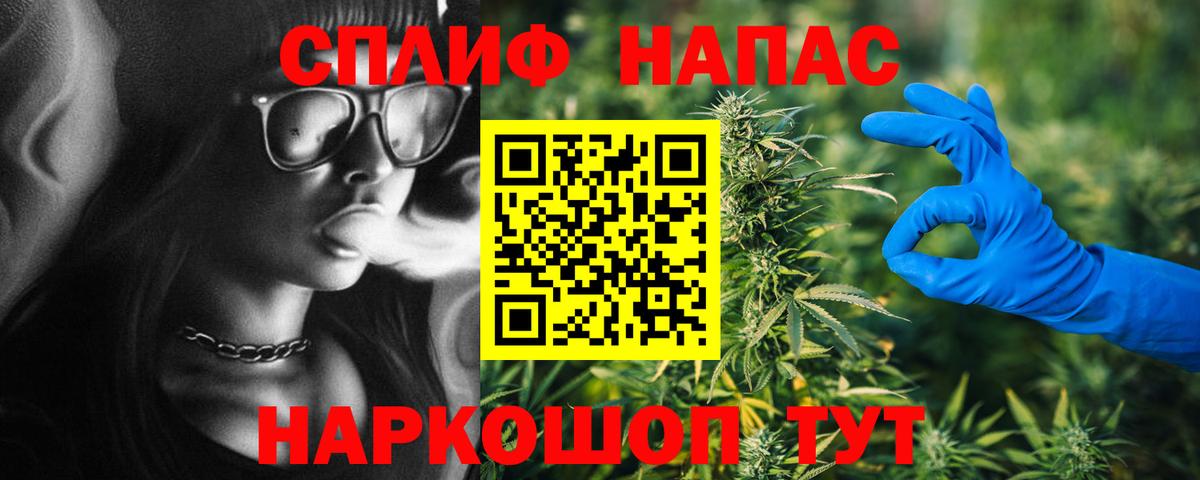 Конопля конопля Белово